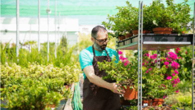 Wert und Wohlbefinden: Die Vorteile Professioneller Gartenbaudienstleistungen